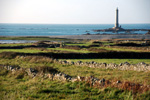 Phare de la Hague (Manche)