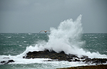 Tempête sur la Côte sauvage de Quiberon (Morbihan)
