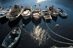 Bateaux de pêche à Ouessant (Finistère )
