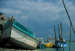 Port ostréicole de Chaillevette (Charente Maritime)