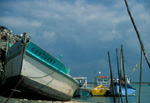 Port ostricole de Chaillevette (Charente Maritime)