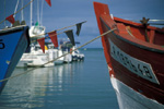 La Flotte en Ré (Charente Maritime)