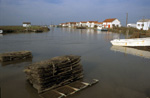 Port ostricole d'Orivol (Charente Maritime)