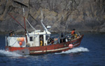 Retour de pêche au Conquet