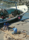 Activit... portuaire... La Cotinre(Charente Maritime)