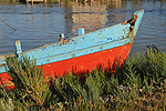 Barque choue  La Tremblade (Charente Maritime)