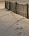 Girondines sur la plage