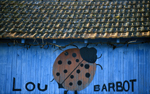 Cabane ostricole